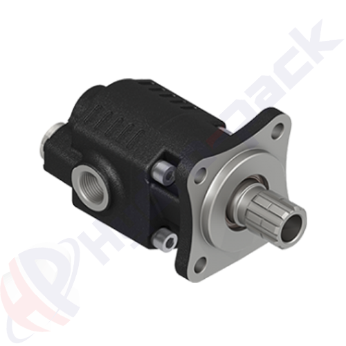 ISO-EDNA-32-BD-4P Group 20 Cast Iron Pump